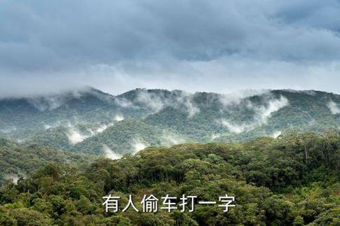 有人偷车打一字谜答案是什么图标