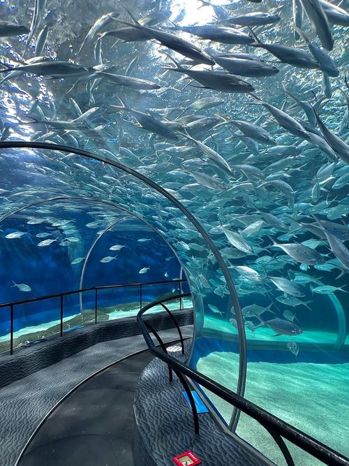 怪怪水族馆游戏攻略游戏截图