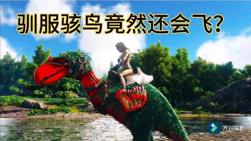 方舟骇鸟任务多少级解锁图标