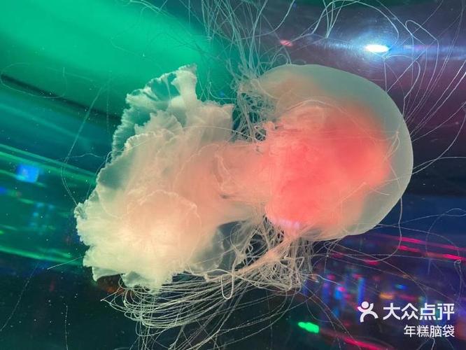 我的水族馆内置菜单缩略图