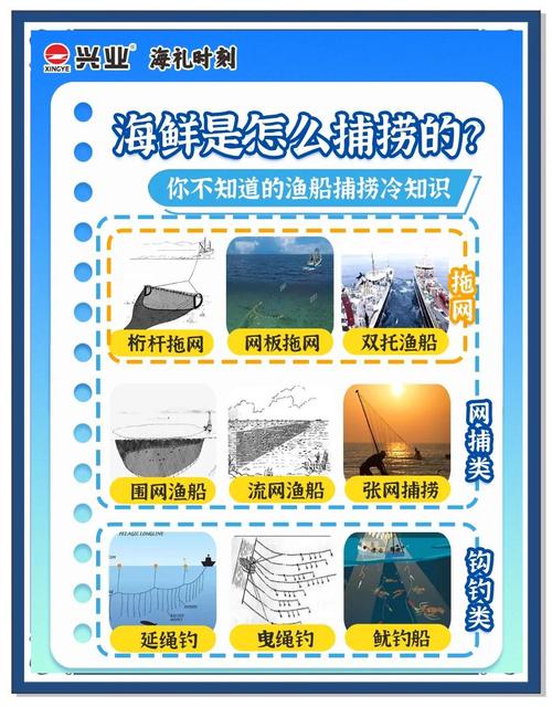 6字木质渔船28年还强制报废吗?缩略图
