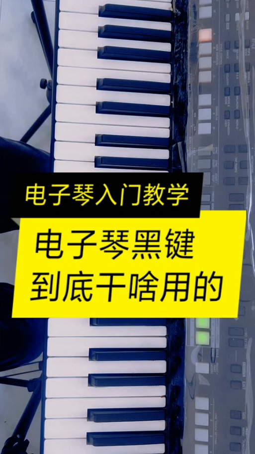 电子琴上的黑键是什么意思缩略图
