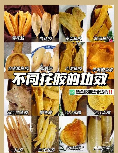 鱼胶放了5年了还可以吃吗缩略图