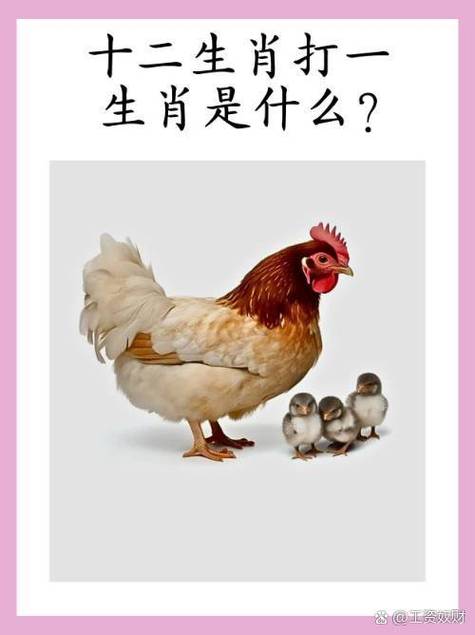 十二生肖谜语谜底缩略图