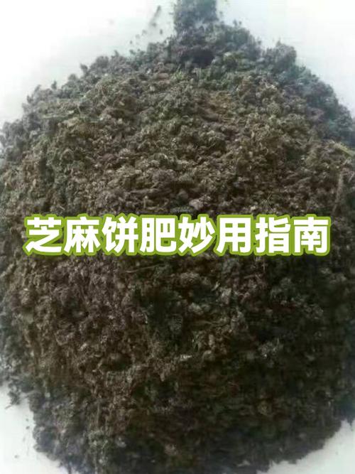 芝麻饼肥如何发酵腐熟缩略图