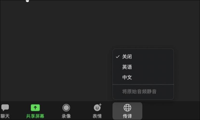 ZOOM视频会议听不到主会场声音缩略图