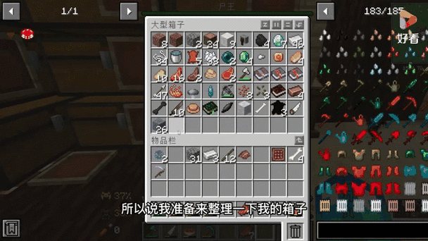 我的世界呆萌小帕匠魂生存 游戏截图