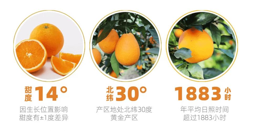 星球果园种树领水果缩略图