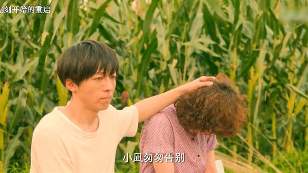 日剧《拥挤的电轨》完整版在线观看图标