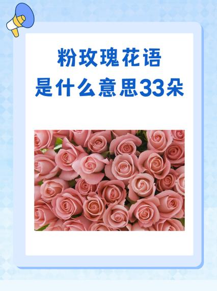 玫瑰花代表的含义图标