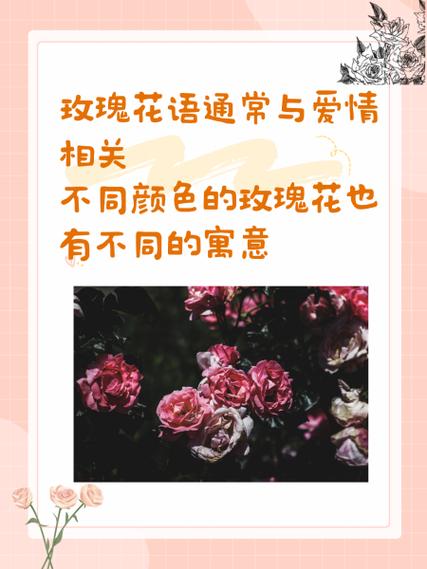 1到100朵玫瑰花语缩略图