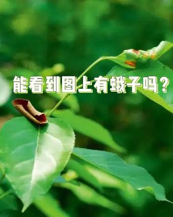 男生朋友圈突然变成三天可见图标