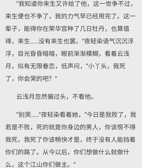 云初玖帝北溟是什么小说缩略图