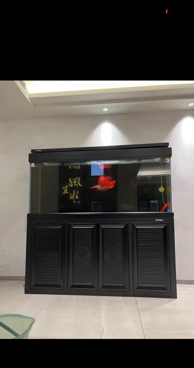 黑色鱼缸用什么颜色背景最好缩略图