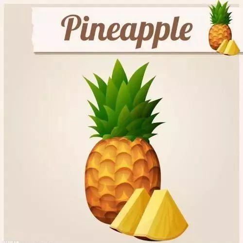 pine的隐晦意思图标