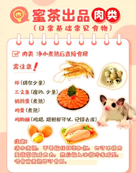 蜜袋鼯容易死吗游戏截图