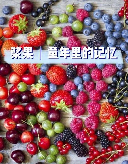 小时候吃的一片一片的糖缩略图