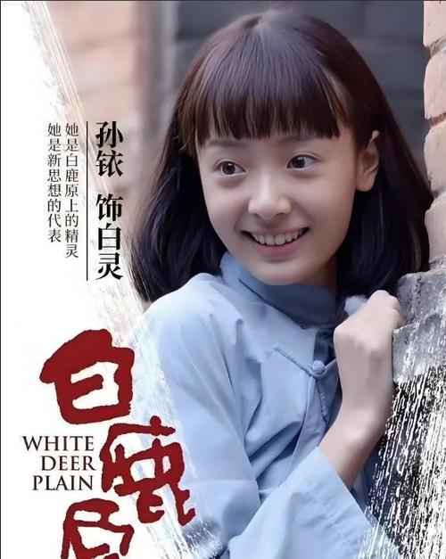 白鹿原演员现状缩略图