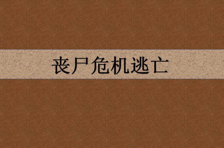 丧尸危机僵尸小说游戏截图