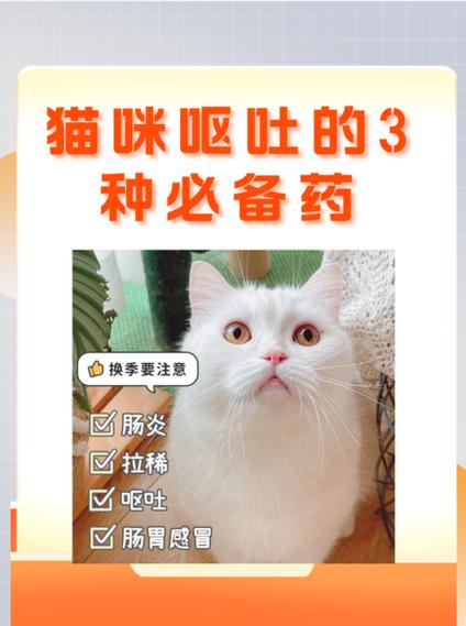 猫咪呕吐不吃东西没精神该给它吃什么药缩略图