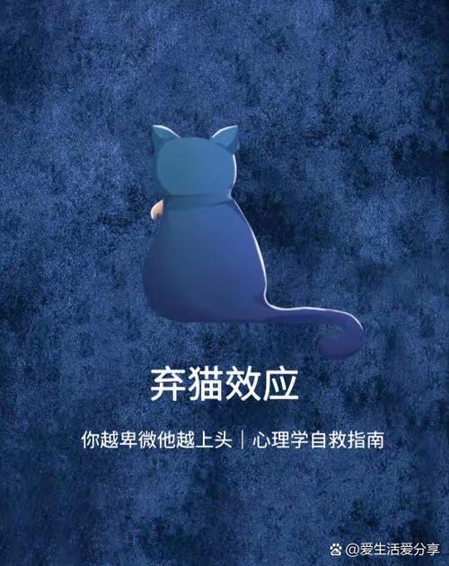 男人喜欢猫的心理暗示游戏截图
