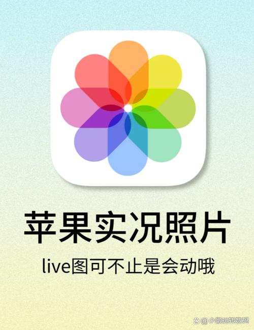 苹果11拍照实况是什么意思缩略图