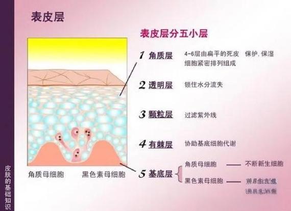 我的世界主播的皮肤的名字叫什么缩略图