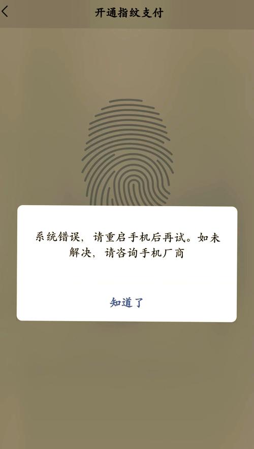 支付宝指纹暂时不可用是怎么回事游戏截图