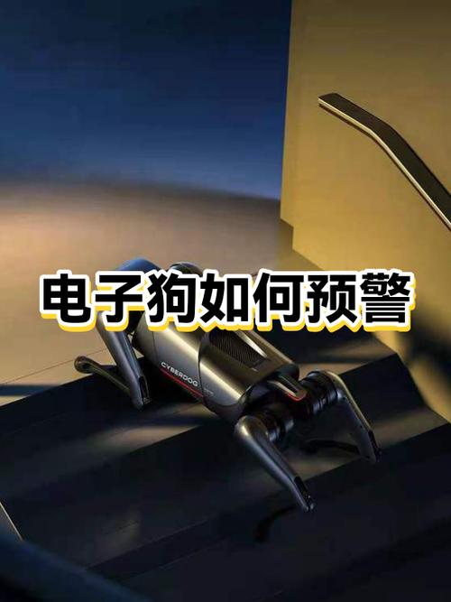 交警一般不查电子狗的原因缩略图