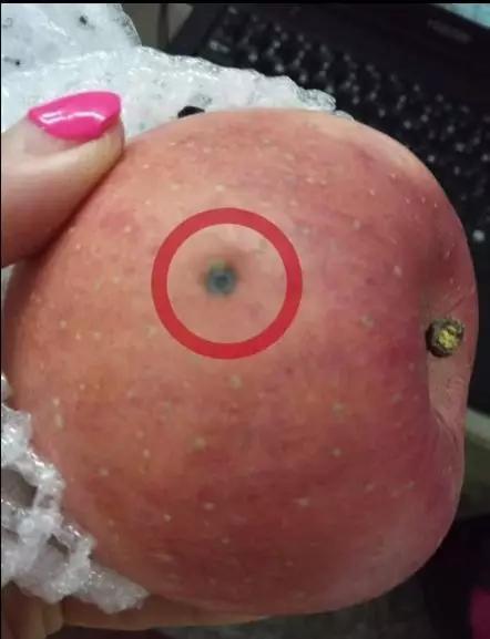 苹果最上面那个小孔是什么图标