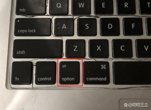 苹果电脑按option没反应的解决方法缩略图
