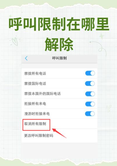 手机被莫名呼叫限制的解决方法缩略图