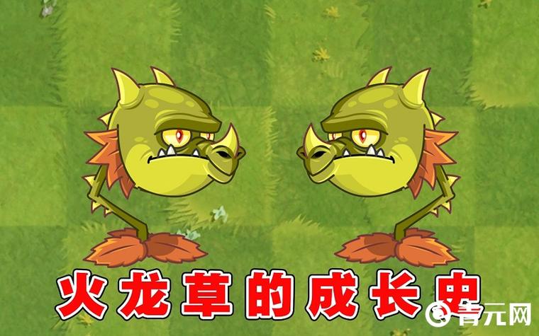 火龙草白嫖5阶平民攻略图标