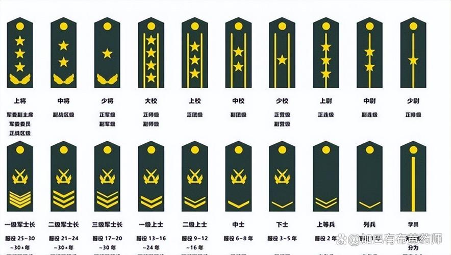 大校军衔相当于什么官