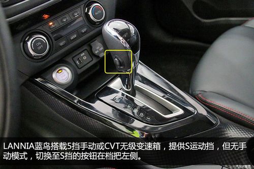蓝鸟有上坡辅助功能吗游戏截图