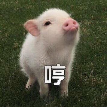 搜狗输入法斗图有水印游戏截图