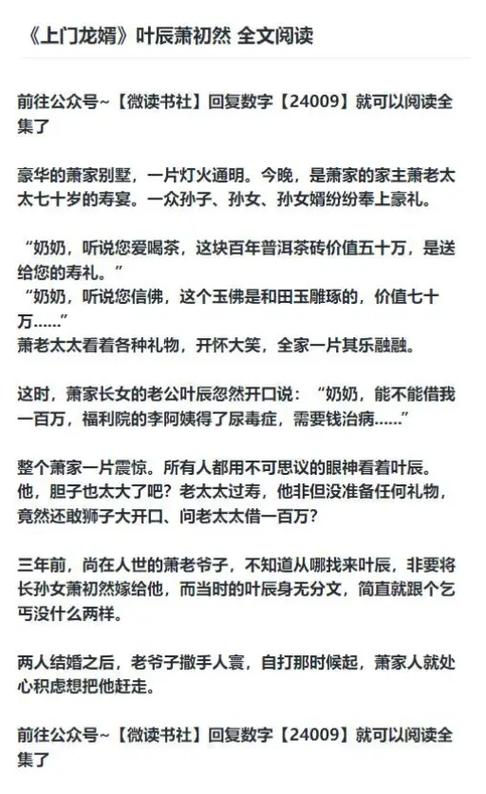叶辰母亲姓叶的异世小说叫什么名字缩略图
