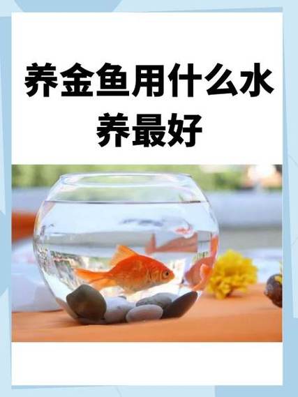 60斤水养金鱼最佳方法图标