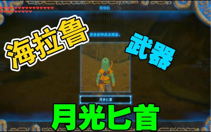 旷野之息月光匕首作用游戏截图