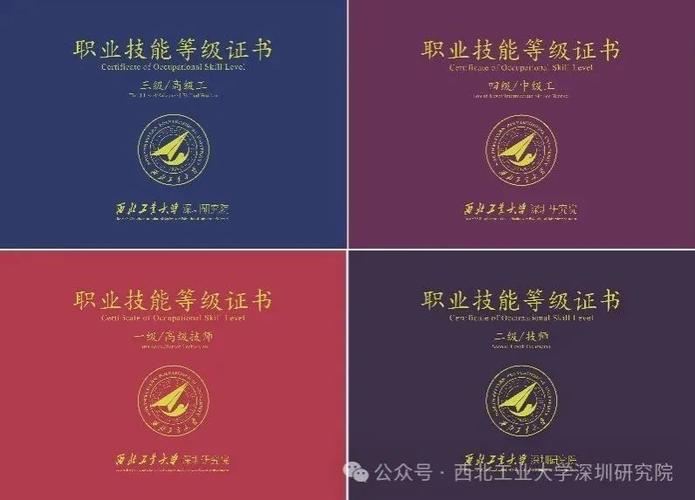人工智能职业技能等级证书图标