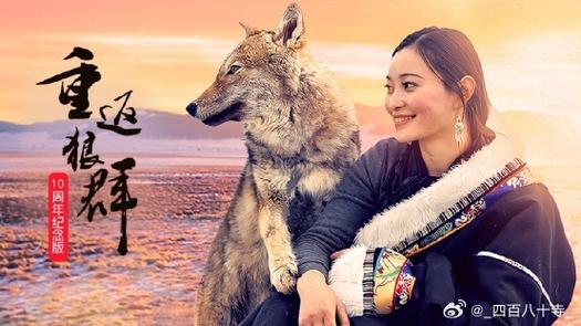 重返狼群纪录片全集免费观看缩略图