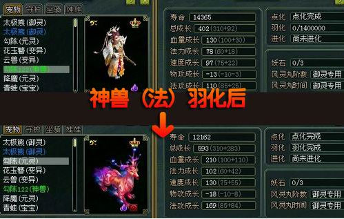 问道手游变异点化羽化多少钱缩略图