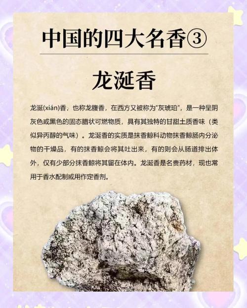 龙涎香有什么作用缩略图