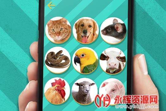 pet translator动物翻译器游戏截图