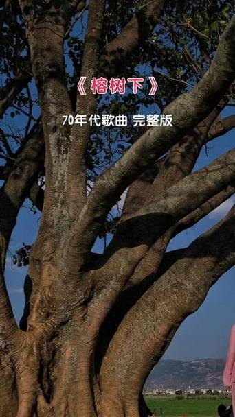 70年代的歌曲经典老歌缩略图