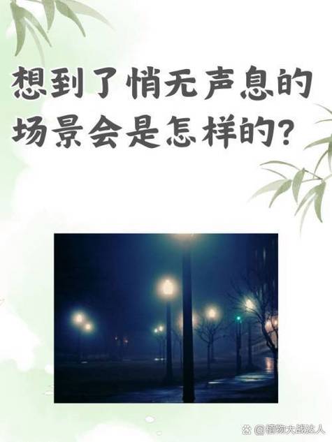 电脑显示器有亮光但是黑屏无画面缩略图