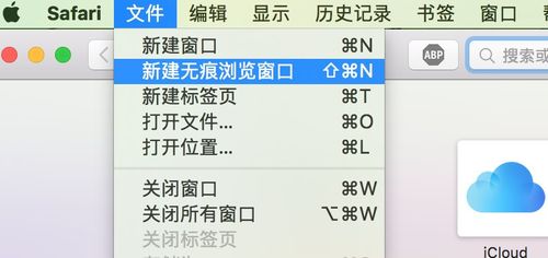 如何关闭safari无痕浏览缩略图