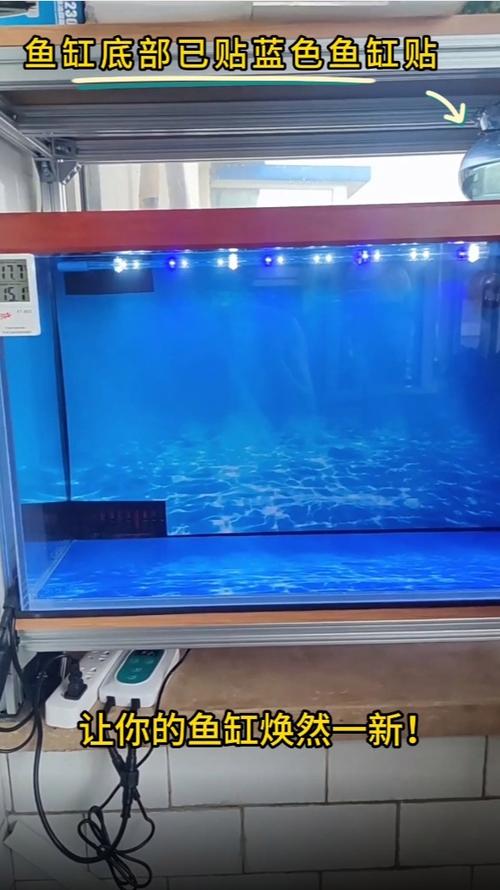 鱼缸背景贴什么颜色缩略图