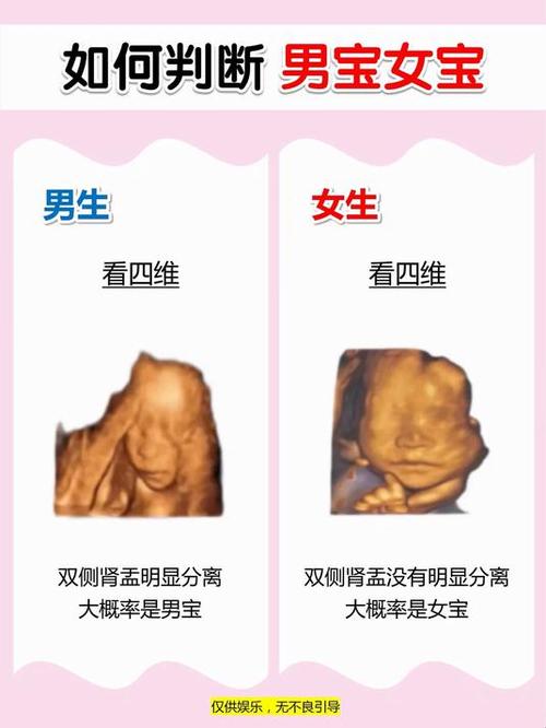 四维看不到脸怎么办游戏截图
