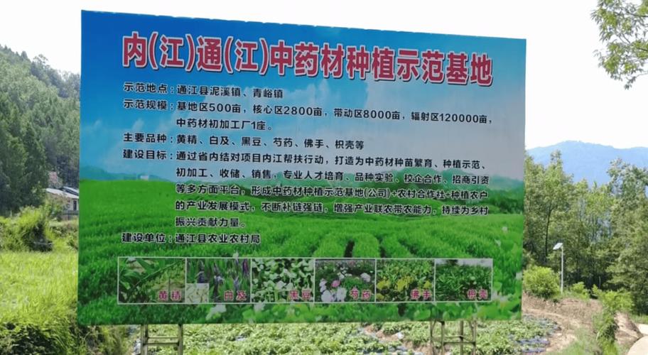 寻找药厂合作种植药材游戏截图